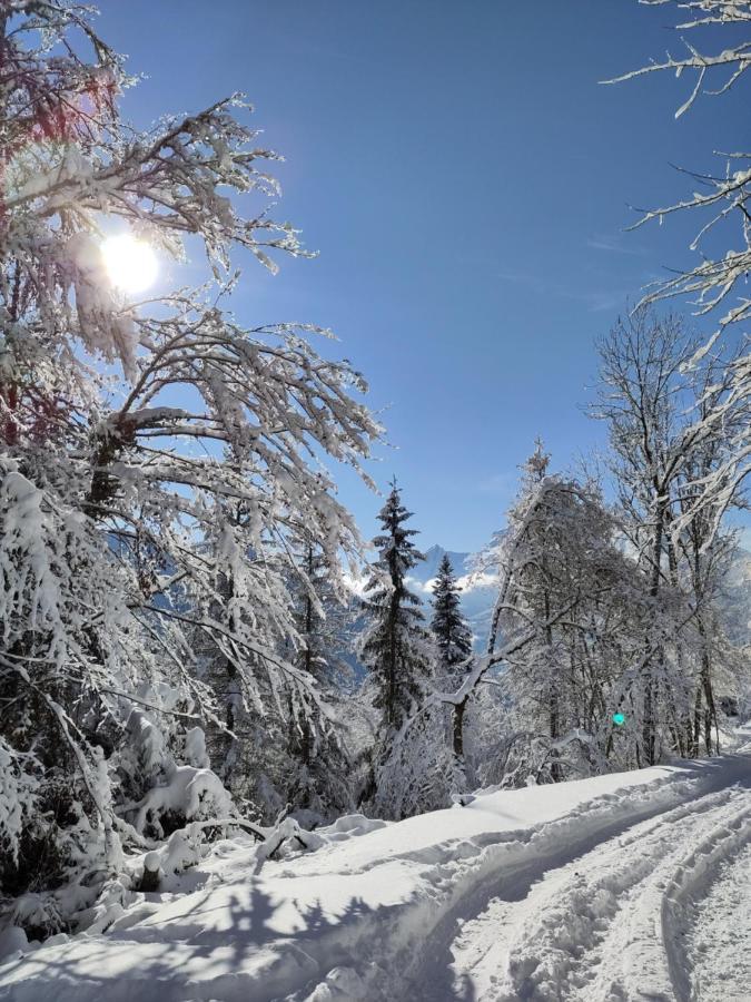 Logement Entre Lac Et Montagnes Тон Екстер'єр фото